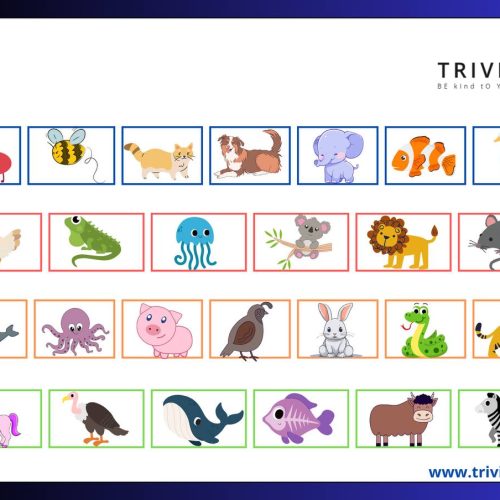 Alphabet trace — изображение 3
