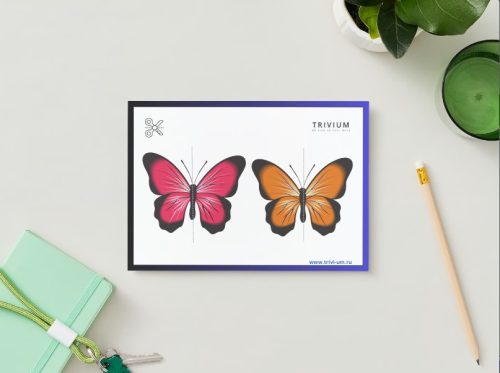 Butterfly halves puzzle