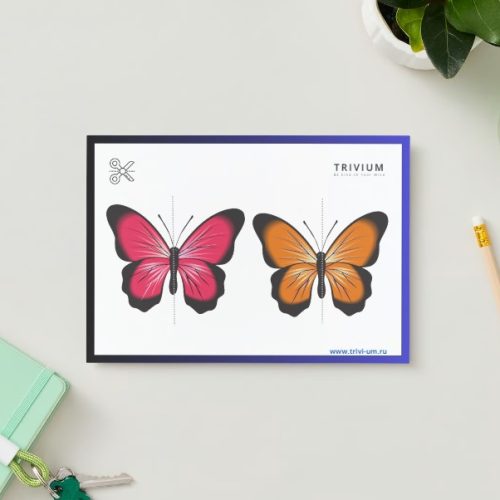 Butterfly halves puzzle